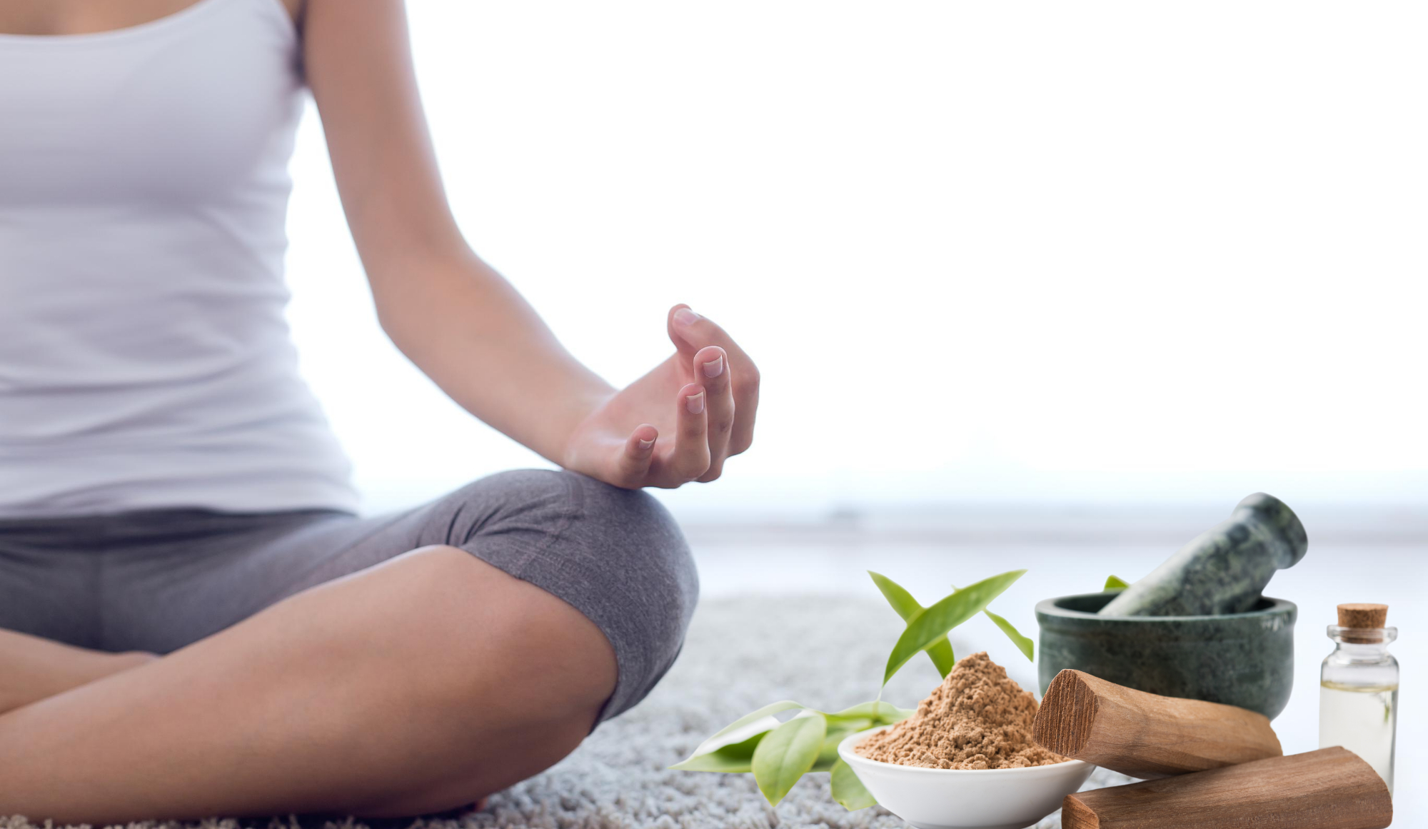 Nguồn gốc lịch sử của Ayurveda, Ayurvedic