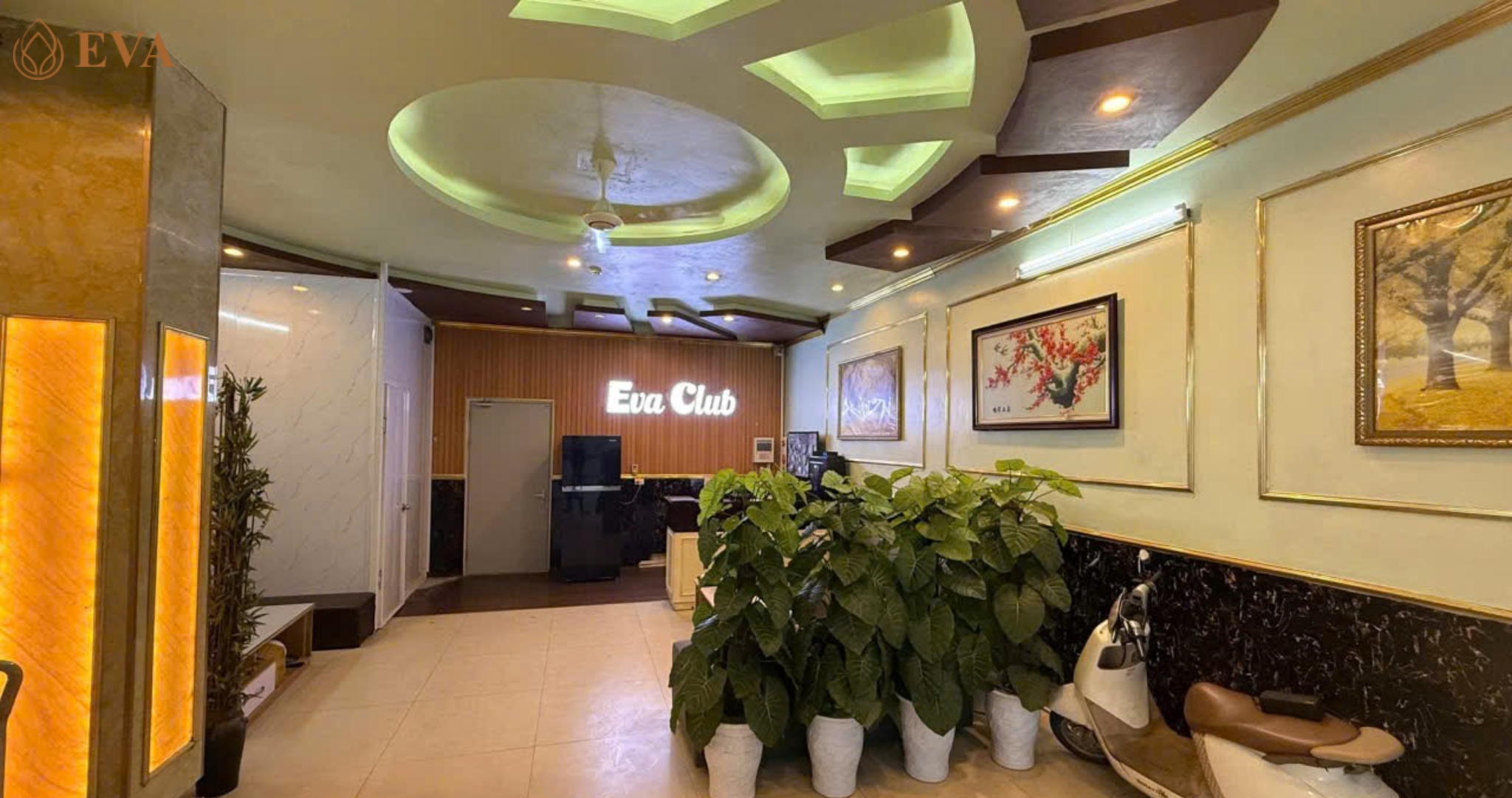 Tận Hưởng Trọn Vẹn Cảm Giác Thư Giãn Với Massage Giá Rẻ Hà Nội – Chỉ Có Tại Eva
